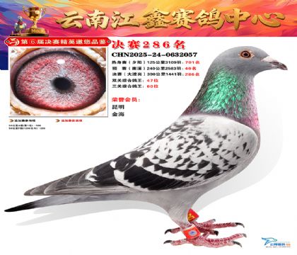 禄劝江鑫决赛286名