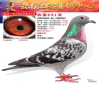 禄劝江鑫决赛291名