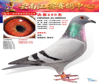 禄劝江鑫决赛290名