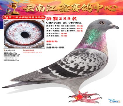 禄劝江鑫决赛289名