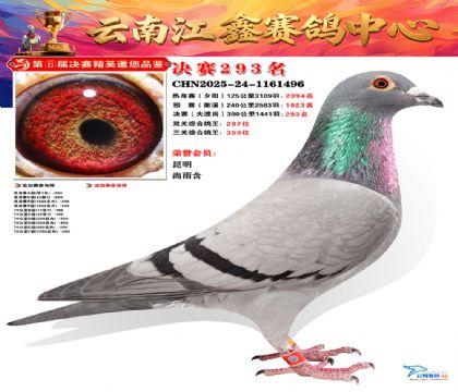 禄劝江鑫决赛293名