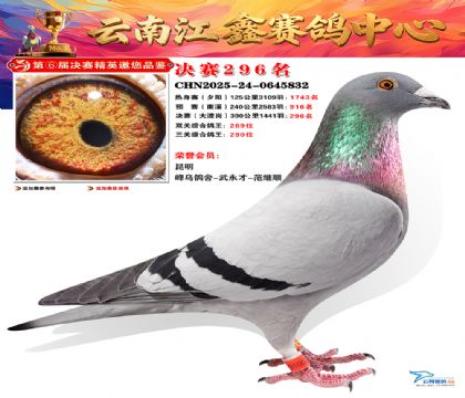 禄劝江鑫决赛296名