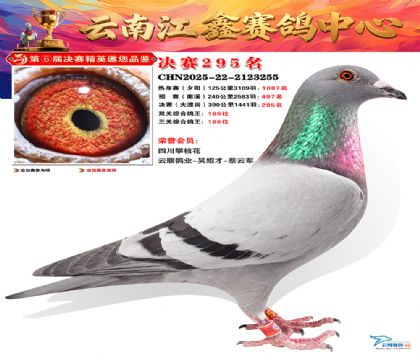 禄劝江鑫决赛295名