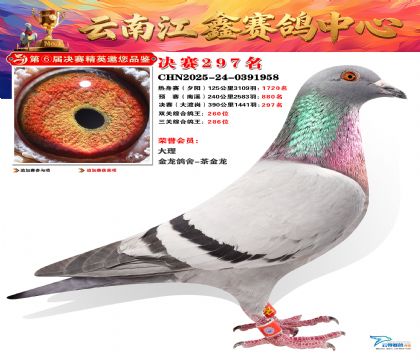 禄劝江鑫决赛297名