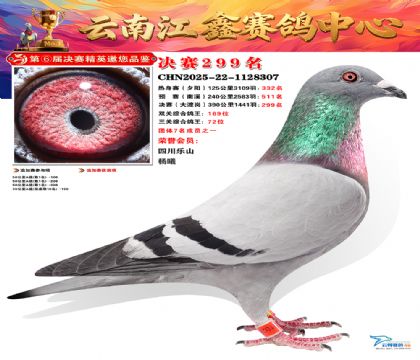 禄劝江鑫决赛299名