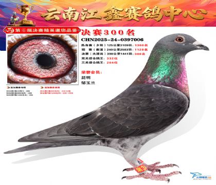 禄劝江鑫决赛300名