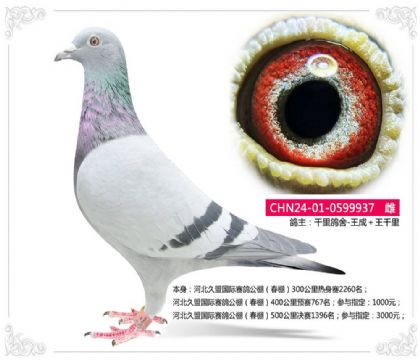 ӱ˹빫5001396