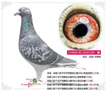 żҿǧǧ蹫515վڶ101