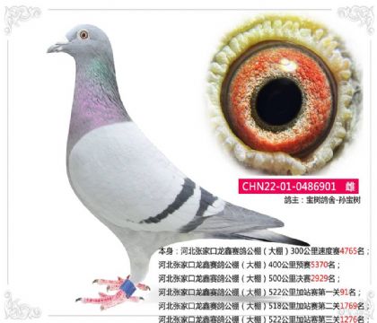 ӱżҿ빫522վһ91