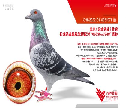 Ǹҵ050357248-0951971