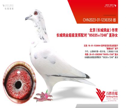 Ǹҵ050357248-1236358