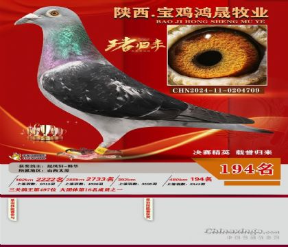 寶雞鴻晟牧業(yè)決賽195名奶酪小子