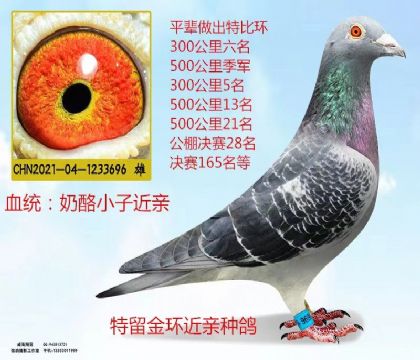 195名父親奶酪黃金配對(duì)直子