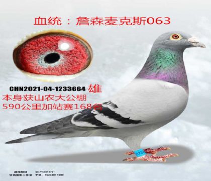 山農(nóng)大590公里加站賽169名麥克斯063