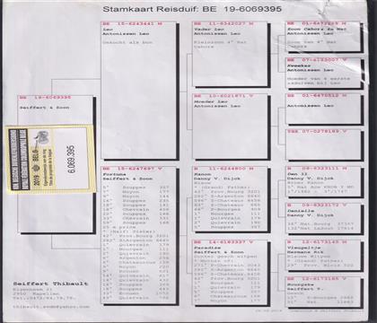 ԭ��Ѫ�y(t��ng)��