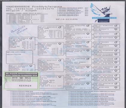 ԭ��Ѫ�y(t��ng)��