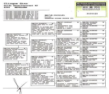 原始血統(tǒng)書