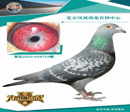 СϵϡWِʷ(yu)KBDBLx