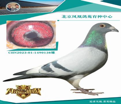 Wƥ˻ؠ006ֱOXWƥ006ȫáֱŮ