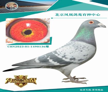 Ѫϵ iɣʿ  w2025x2̖܊