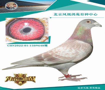 ^oH20WM(jn)ֱXشꖱ˵˹ղɭ