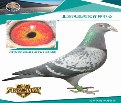 (zhn)）NpϵϡXϵϹ O