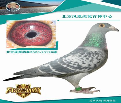 Wƥ003ֱO XWƥ003ֱOŮ