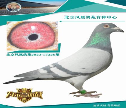 ؄e]һ·Ì(zhn)ĿѪϵ