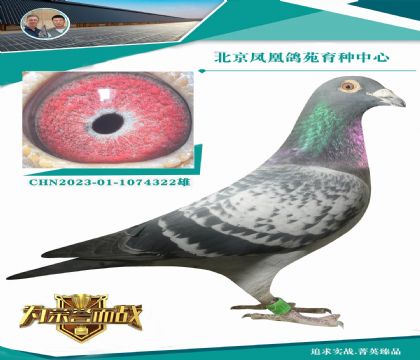 W003ѪOXƿˊWƥ˻ֱŮ