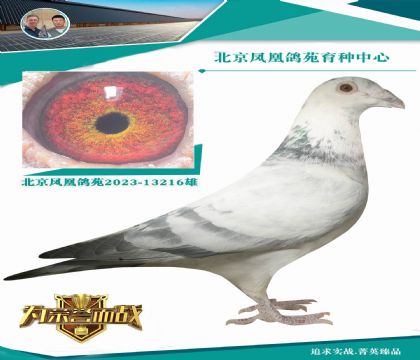 ᠖ɶõĳ ᠖C(j)X᠖š