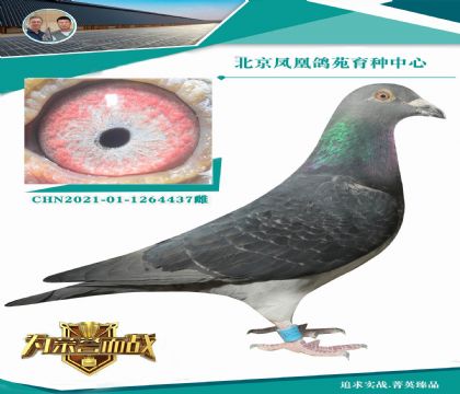 (zhn)f¾SߚwXߚwֱŮ