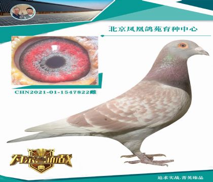 ^oH20WM(jn)ֱXشꖱ˵˹ղɭ