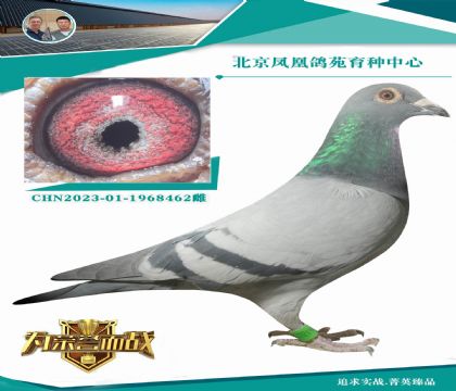 (zhn)S䌦 һ䌦 ֵ