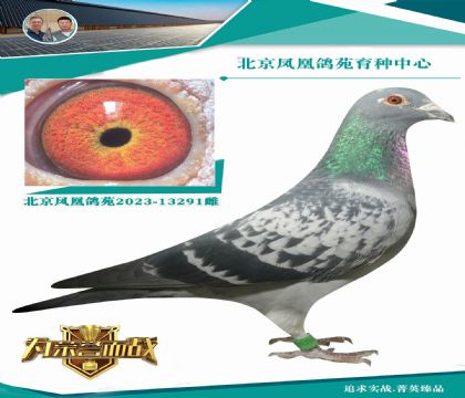 ؐղɭ057XOƷИOƷؐղɭP(gun)OŮ