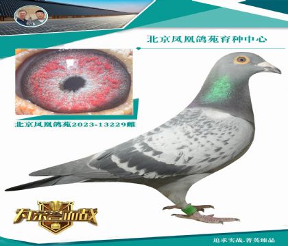 W003ѪOXƿˊWƥ˻ֱŮ