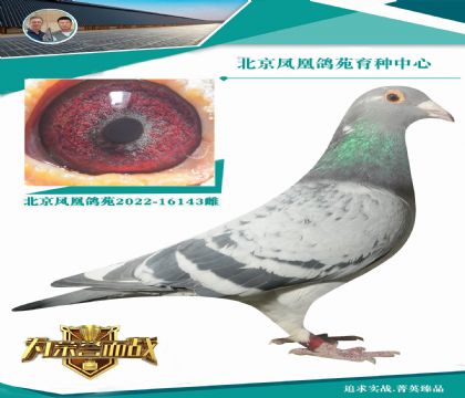 üt̖ȫֵ992XSW40000̖O