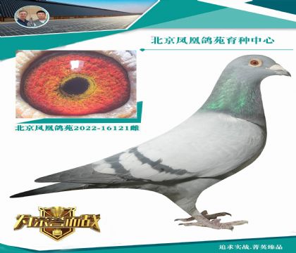 W늽ֱͯO Ѱl(f)]Ĵ  ĳ