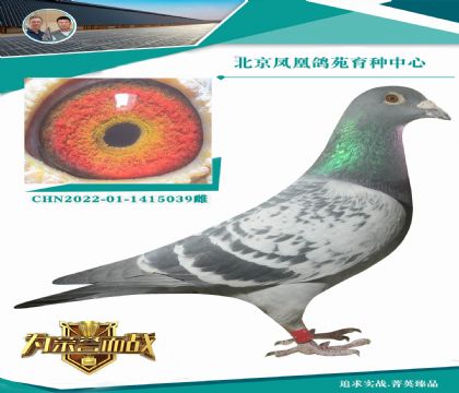 (zhn) x ȫ AXϵѪ}