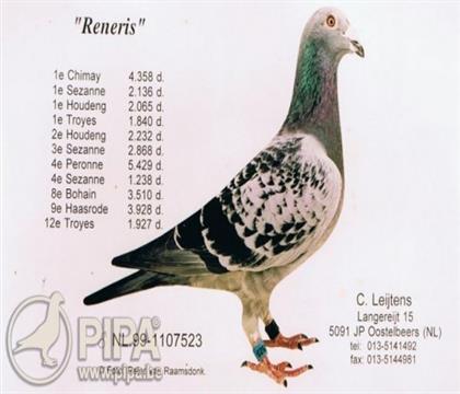 ������˹