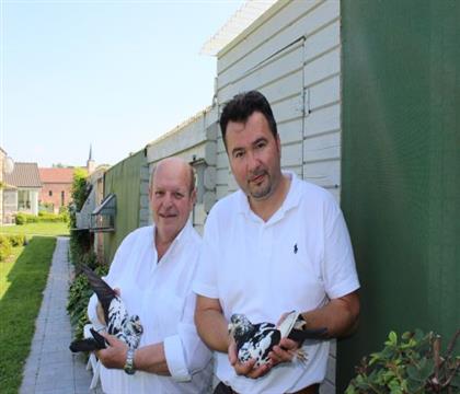 ·��˹.����������