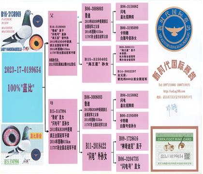 父親血統(tǒng)書