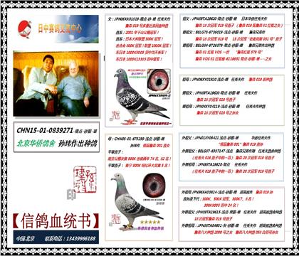 拍083雄送合配雌165