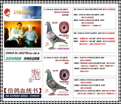 詹森019曾曾孙女165