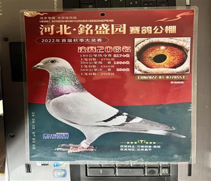 獲獎(jiǎng)?wù)掌S鴿發(fā)送