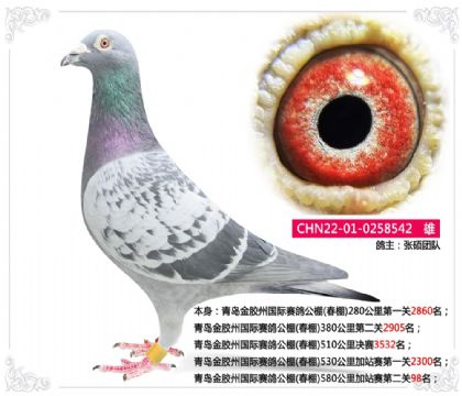 uz݇Hِ580վِڶP(gun)98 	