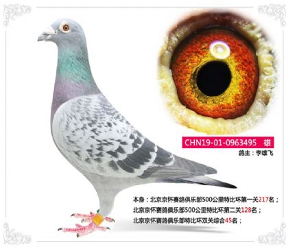 ِ㘷رȭh(hun)pP(gun)C45   	