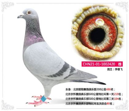 ِ㘷رȭh(hun)pP(gun)C80   