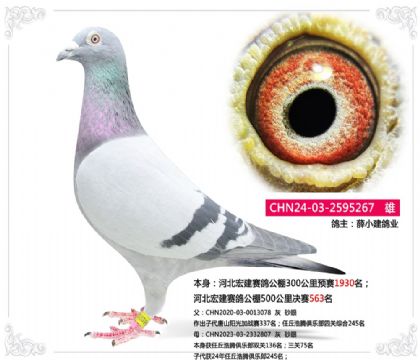 ѦСI(y)--ӱ꽨ِ500Qِ563   