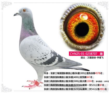 ҿںԴHِվِһP(gun)52187   	