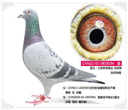 I(y)-c--˽h(hun)NXD˹194   	